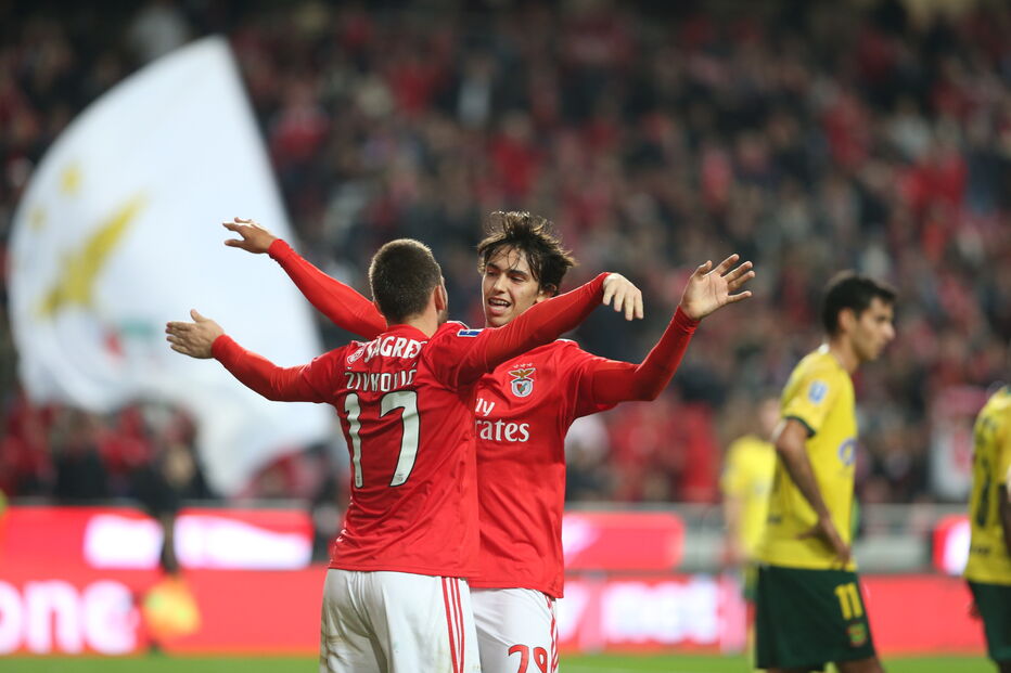 Encarnados celebram golo de João Félix