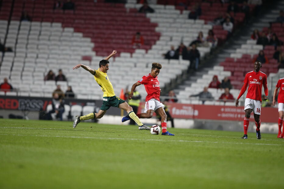 Jogo Benfica - Paços de Ferreira