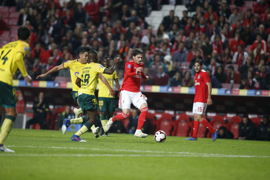 Jogo Benfica - Paços de Ferreira