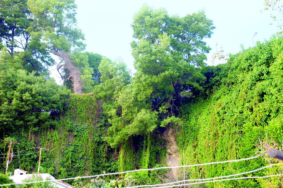 Talude no centro de Leça da Palmeira