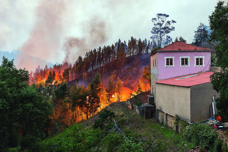 Incêndio, fogo, Monchique, verão, 2018