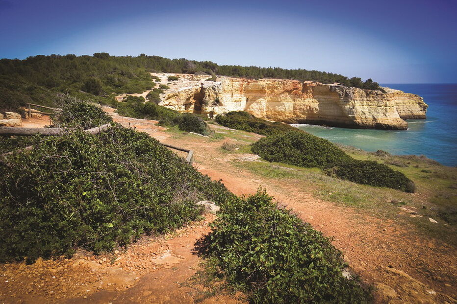 Proteção de uma zona da costa “que preserva os traços originais” foi um dos argumentos para o parecer desfavorável