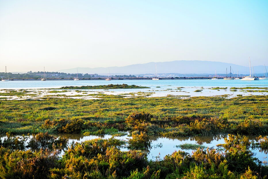 Ria de Alvor é uma das zonas que vai ser alvo de desassoreamento 