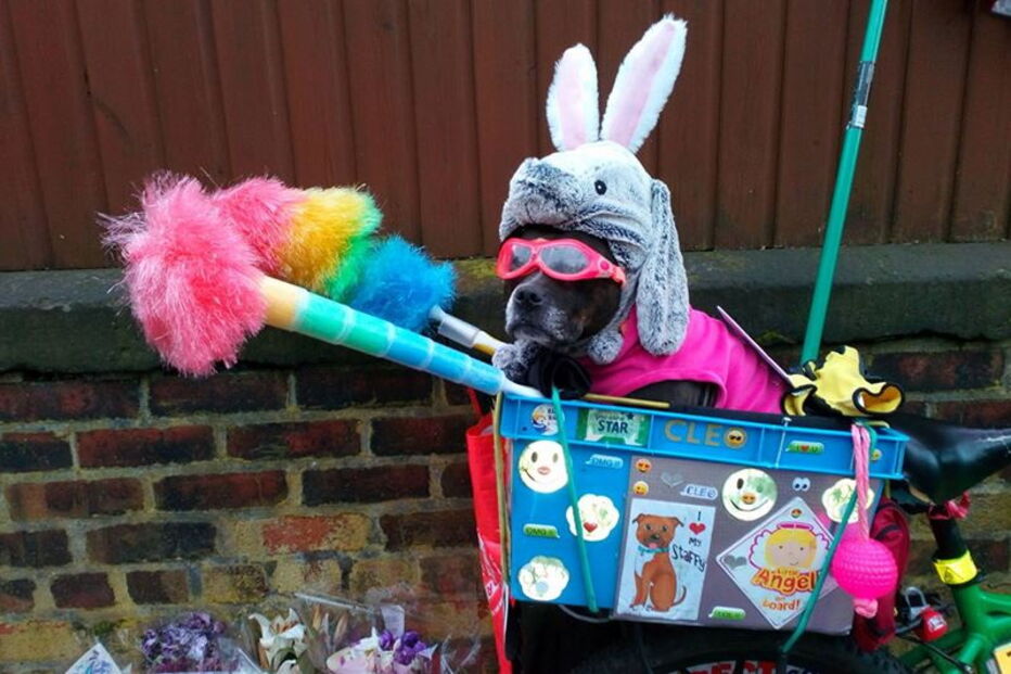 Princesa Cleópatra Superchill