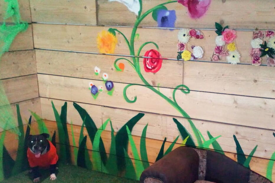 Princesa Cleópatra Superchill