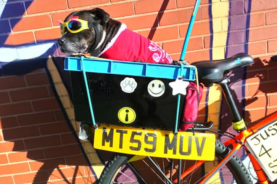 Princesa Cleópatra Superchill