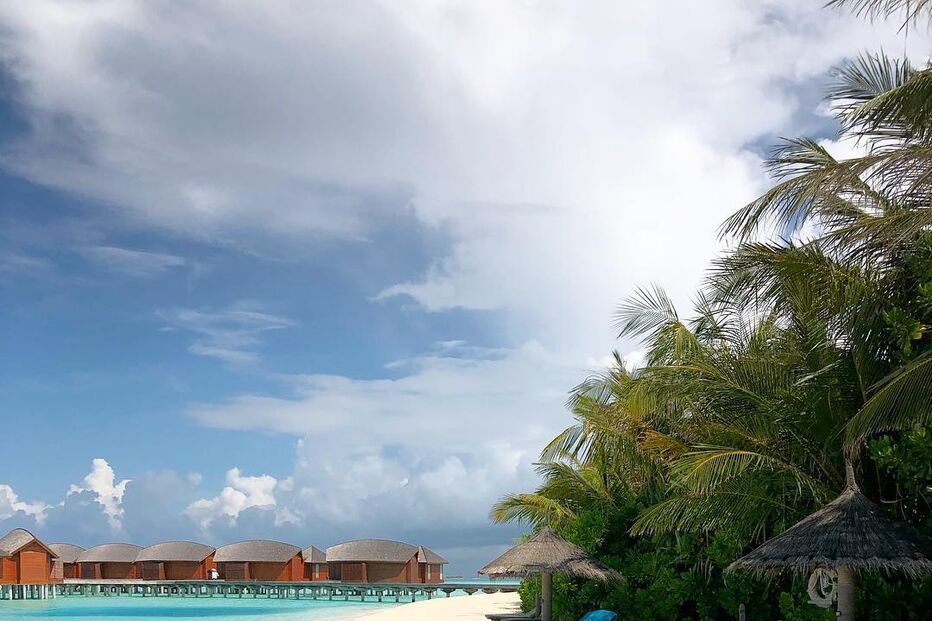 maria cerqueira gomes