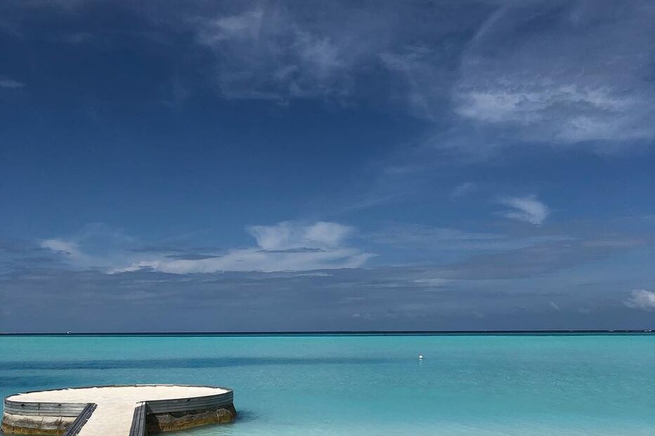 maria cerqueira gomes