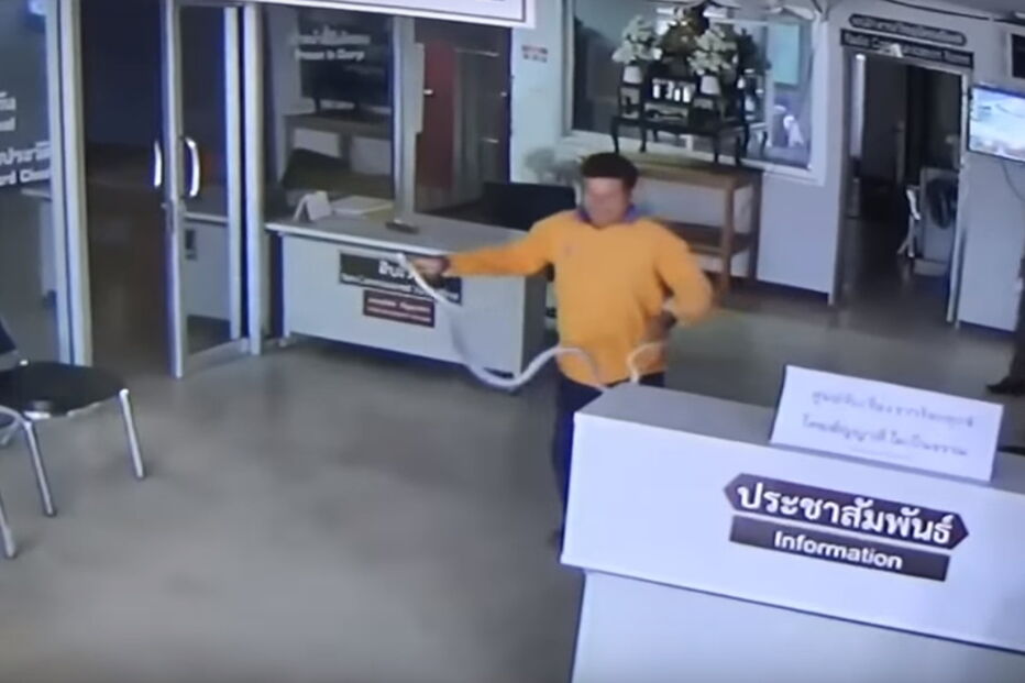 Homem imobiliza cobra que o tenta atacar em esquadra