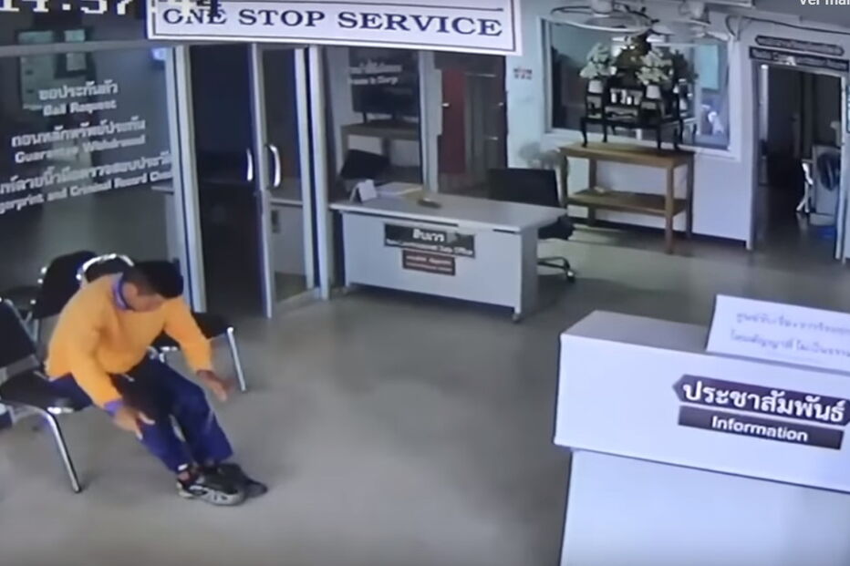 Homem imobiliza cobra que o tenta atacar em esquadra