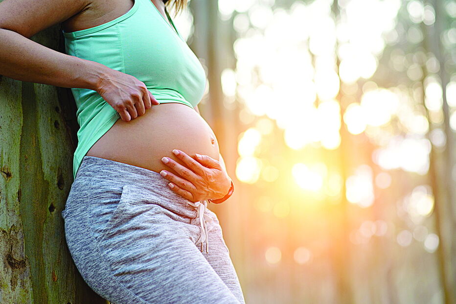 Trabalhadora que estava grávida viu-lhe ser negado apoio por duas vezes, apesar de pagar dívida a prestações