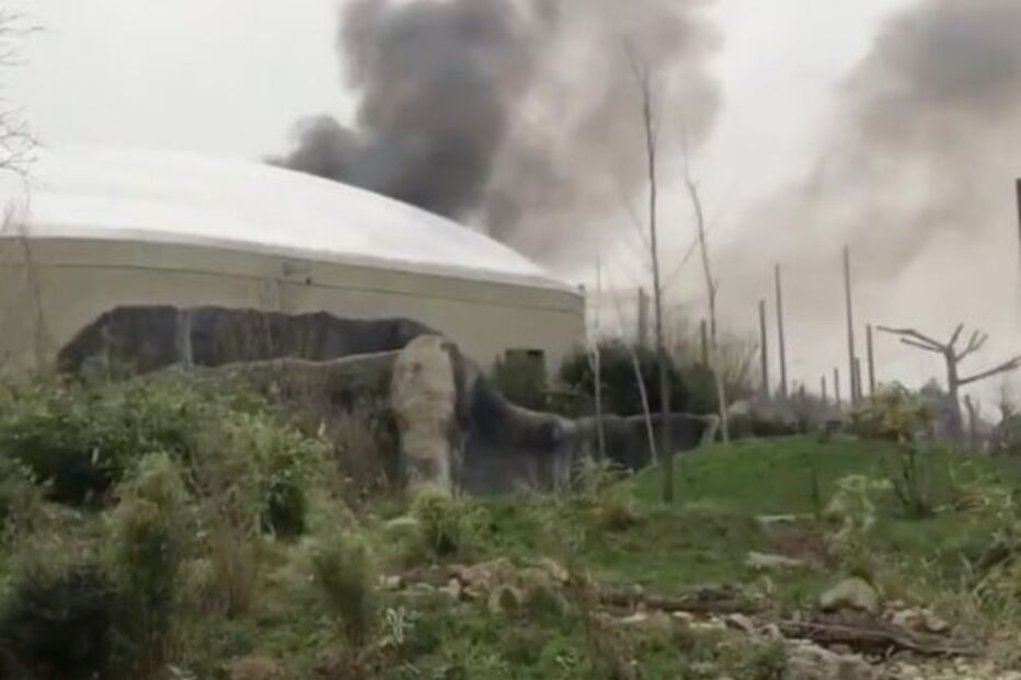 Fogo no Jardim Zoológico de Chester, em Inglaterra