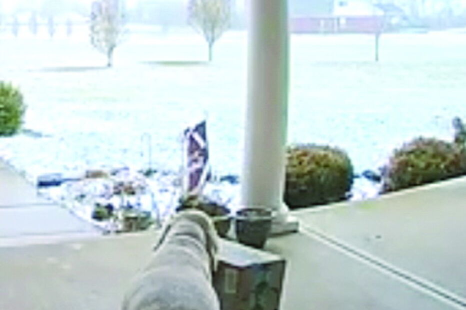 Cão rouba encomendas da entrada da porta