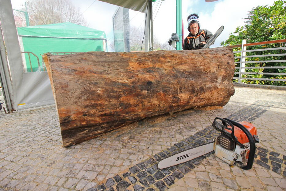 Nelson Ramos de 44 anos aceitou o desafio do presidente da Câmara Municipal de Monchique e está a esculpir até domingo dia 17, um presépio de madeira em tamanho real com moto-serras no largo de Monchique