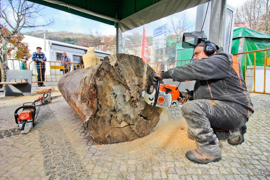 Nelson Ramos de 44 anos aceitou o desafio do presidente da Câmara Municipal de Monchique e está a esculpir até domingo dia 17, um presépio de madeira em tamanho real com moto-serras no largo de Monchique