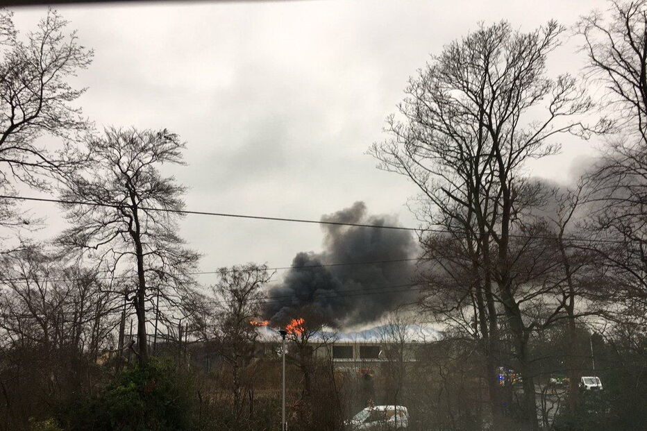Fogo no zoo de Chester matou vários animais