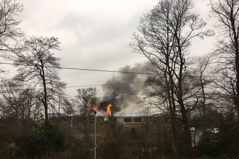 Fogo no zoo de Chester matou vários animais