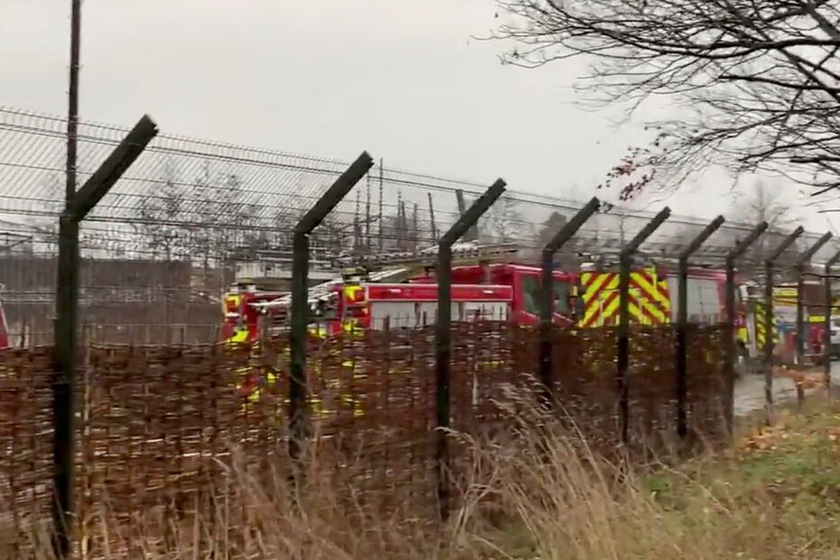 Fogo no zoo de Chester matou vários animais