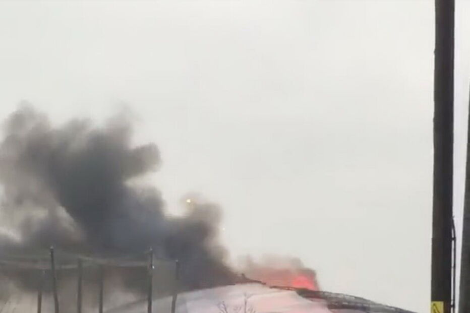 Fogo no zoo de Chester matou vários animais