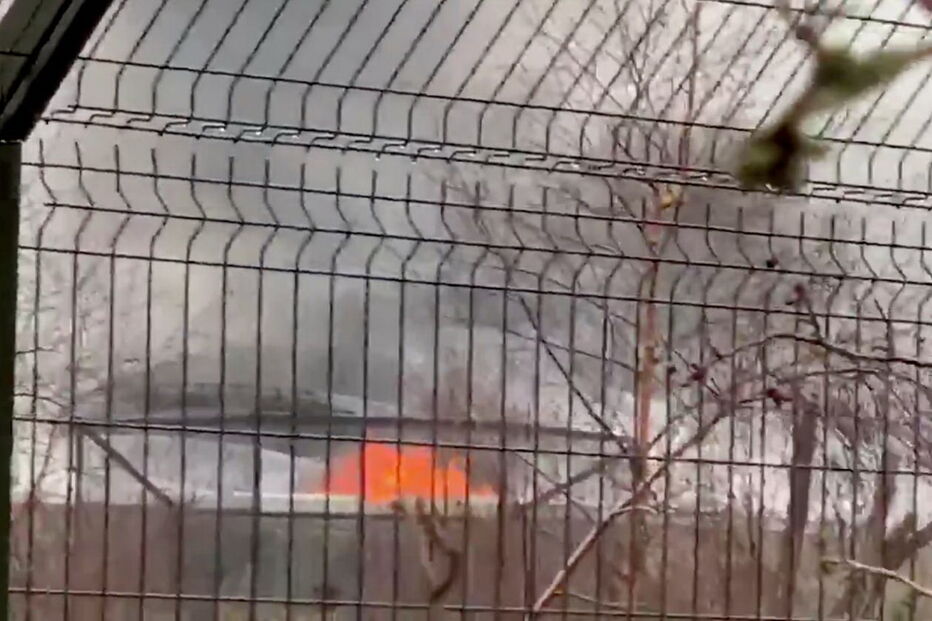 Fogo no zoo de Chester matou vários animais
