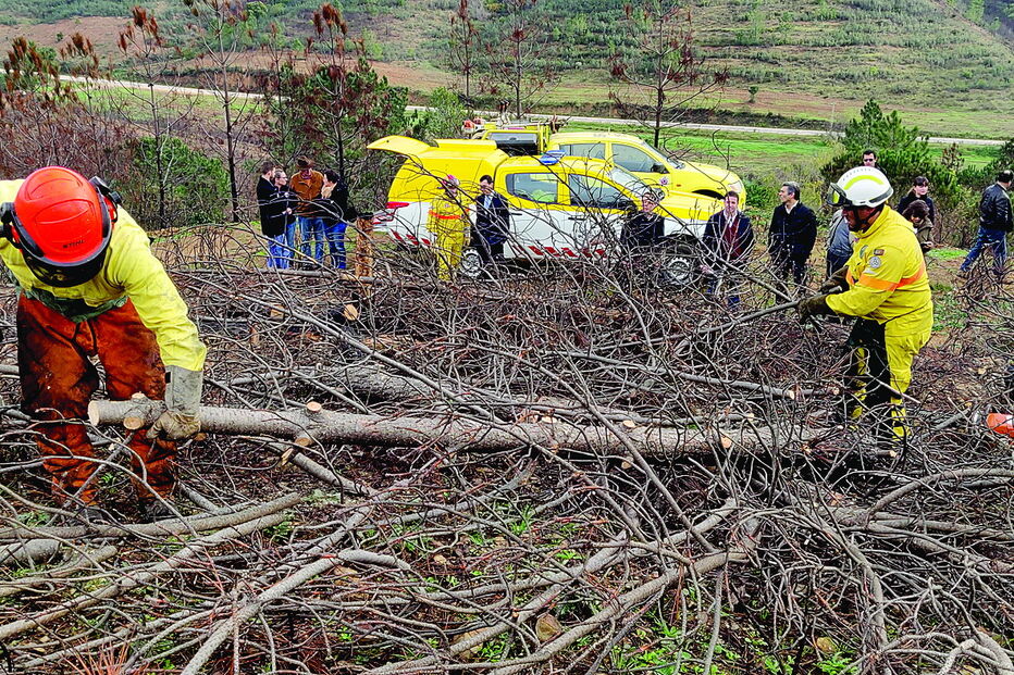 Trabalhos de estabilização de terrenos começaram ontem a ser feitos na área da Herdade da Talhadinha, em Silves  
