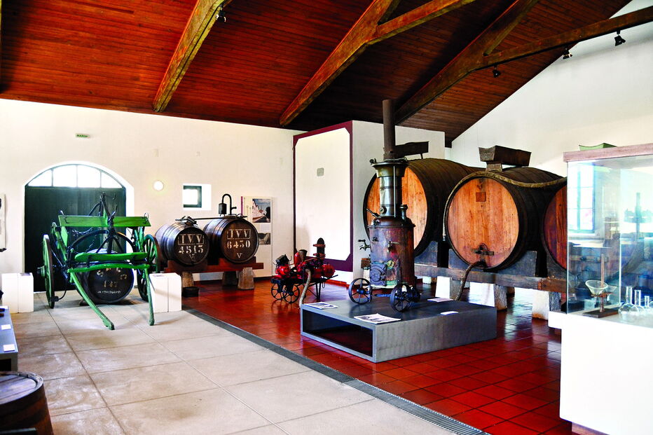 O museu rural e do vinho está localizado na Quinta das Pratas