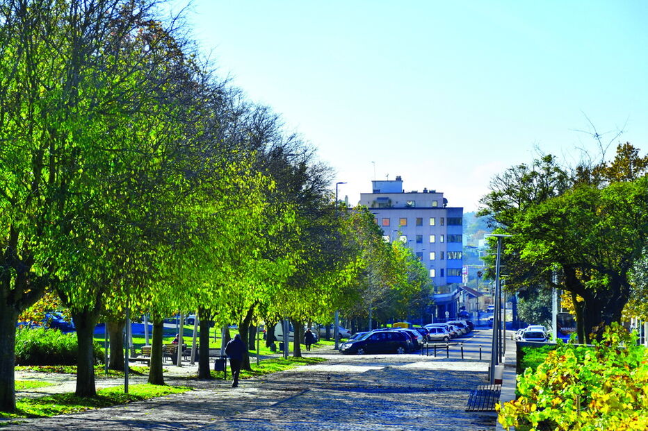 Vista geral do jardim da Praça 15 de Dezembro