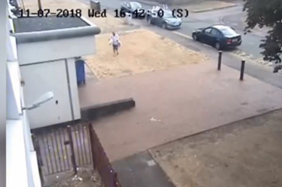 Cães morrem ao calor dentro de carro após dono se esquecer deles