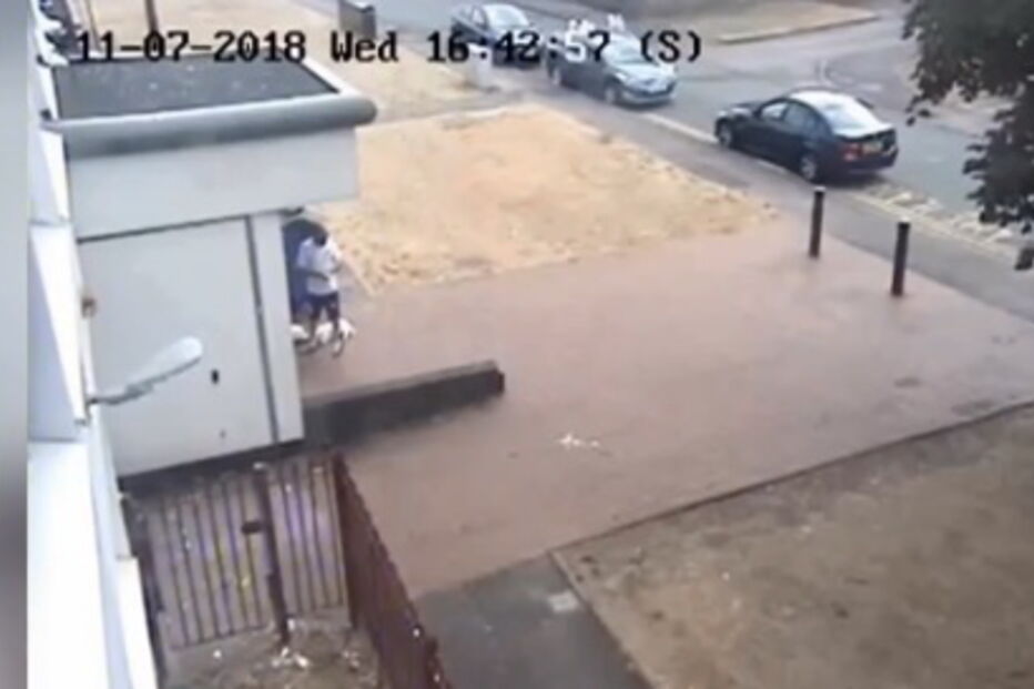 Cães morrem ao calor dentro de carro após dono se esquecer deles