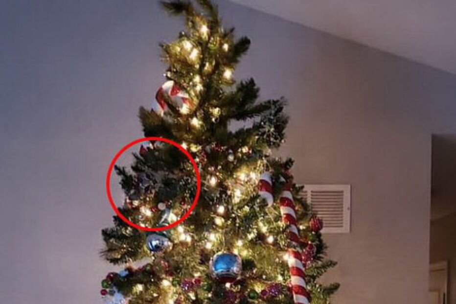 Novo desafio da Internet: descubra onde se escondeu o gato na árvore de Natal