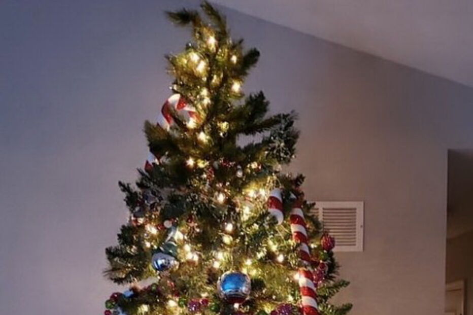 Novo desafio da Internet: descubra onde se escondeu o gato na árvore de Natal