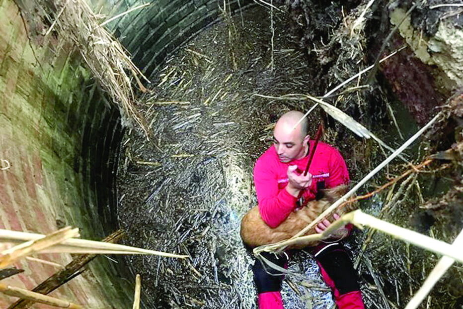 Bombeiros da Trafaria salvam cão em poço