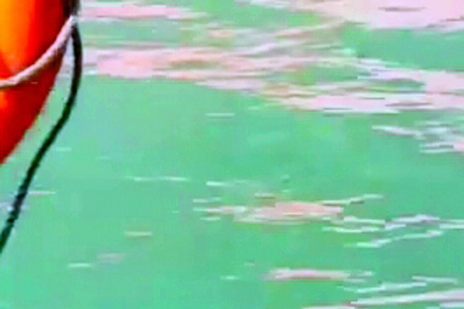 Guarda costeira de Taiwan resgata cão no mar