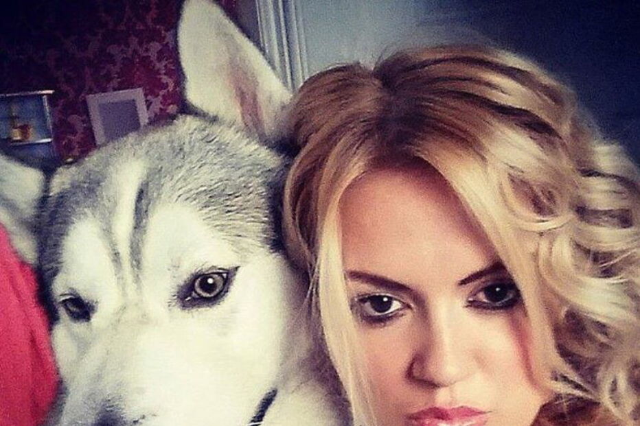 Cão Storm com uma das donas