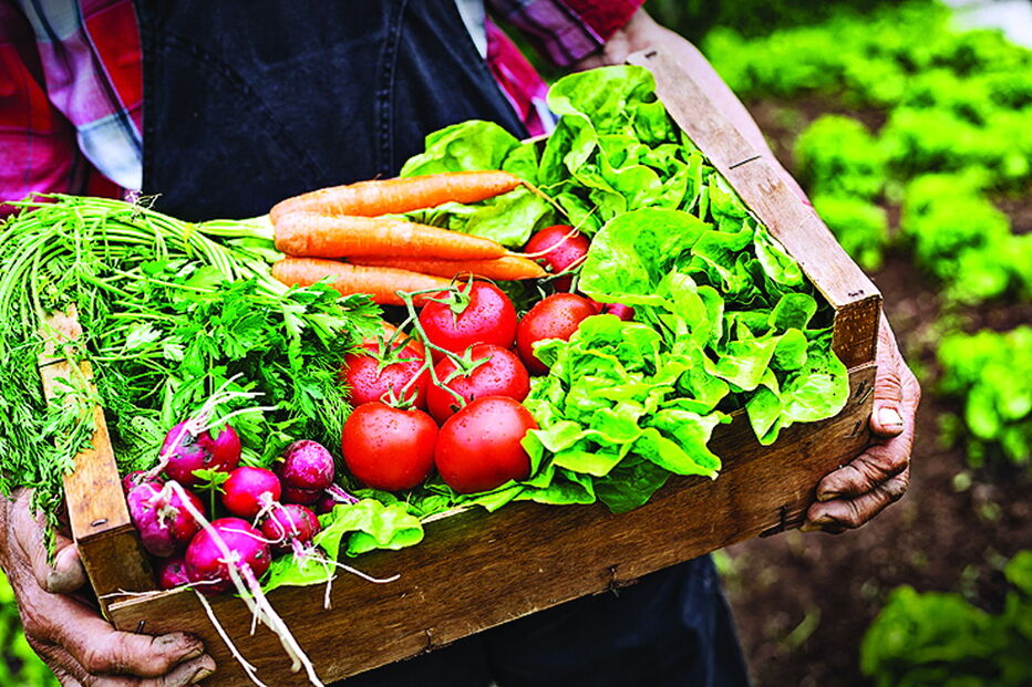 Dieta depende do estado de saúde das pessoas, alerta a nutricionista