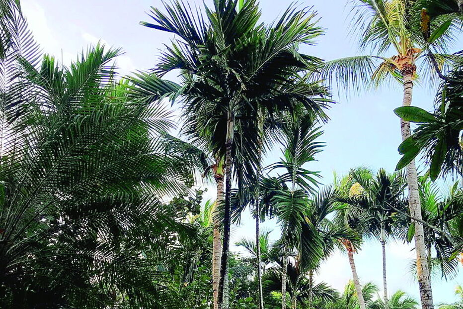 A filha mais velha, Daniela, também não perdeu a viagem