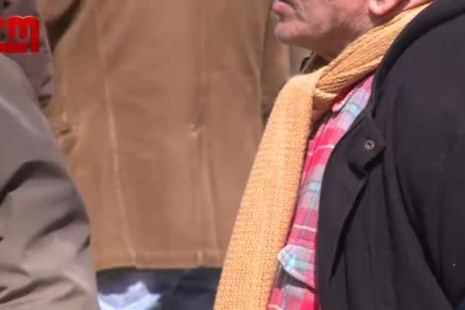 Assaltos carteiristas