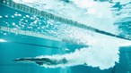 Novo selecionador da equipa júnior de natação do Liechtenstein é madeirense