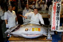 Atum rabilho vendido por históricos 2,7 milhões de euros no leilão de Ano Novo em Tóquio