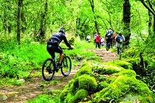 Passeios de bicicleta pela natureza permitem um saudável exercício físico