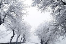 Frio, chuva, vento e sincelos no adeus a 2025 e início do novo ano