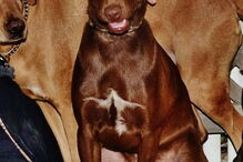 2019-01-06_16_26_27 5 - Janº 2012 - SÍRIUS.JPG