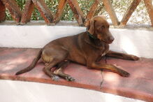 2019-01-06_16_26_27 6 - 2012 - Sírius.JPG