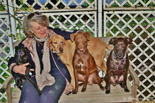 2019-01-06_16_26_29 52 A - Janº 2012 - Guida com Vega, Duna, Sírius e Vison.JPG