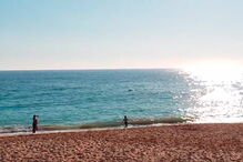 Golfinhos dão 'espetáculo' na praia de Armação de Pêra