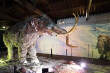 A exposição 'Gigantes da Idade do Gelo' abre a 10 de Março na Cordoaria Nacional, em Lisboa