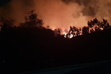 Incêndio lavra em zona de mato em São Pedro da Cova 