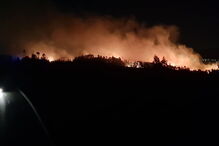 Incêndio lavra em zona de mato em São Pedro da Cova 