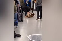 Cão recusa passar no detetor de metais de aeroporto