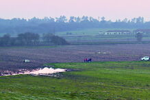 Vítima de 84 anos morreu no local